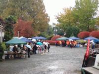 20251109紅葉まつり (25).JPG